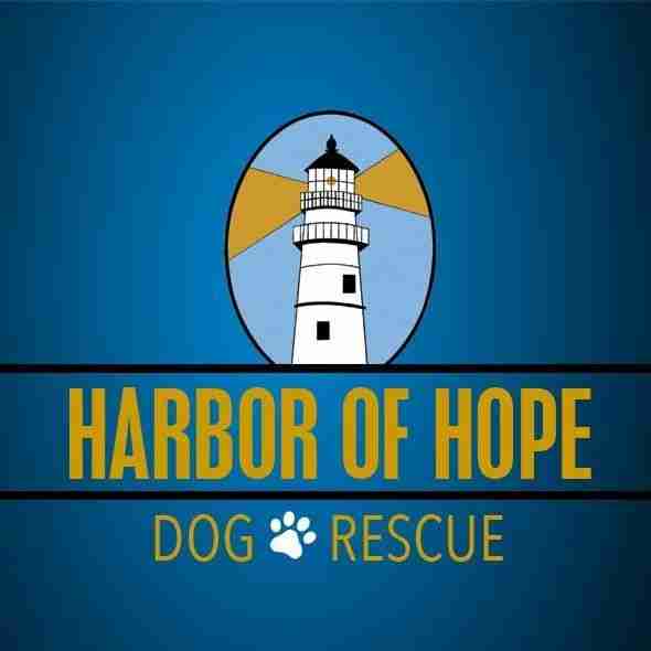 harbor of hope dog rescue logo